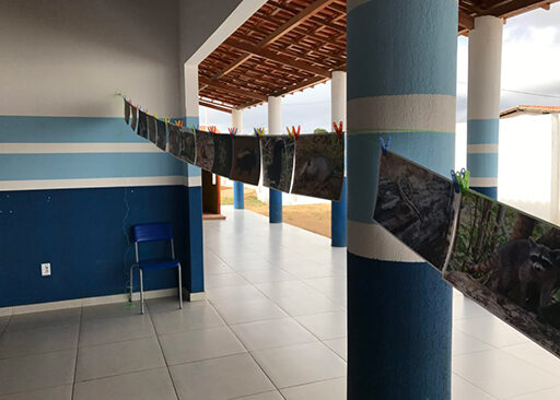 Ações ambientais em comemoração ao Dia da Árvore e Defesa da Fauna